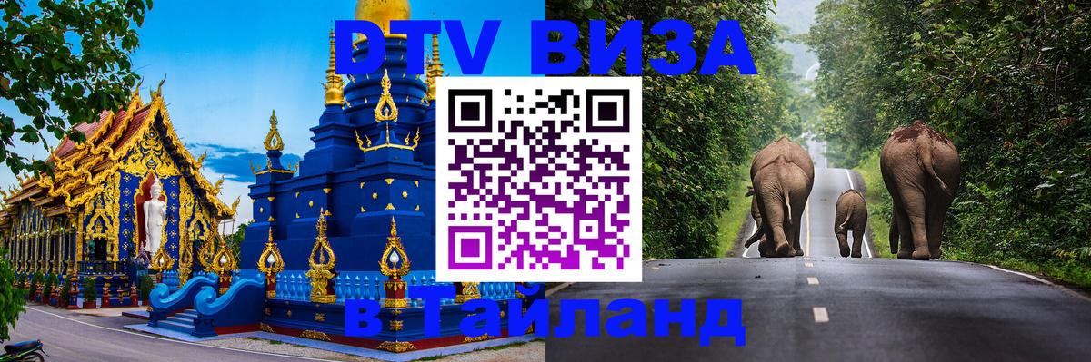 Сколько стоит DTV виза — актуальные цены, оформление даже без документов - 21.11.2025 